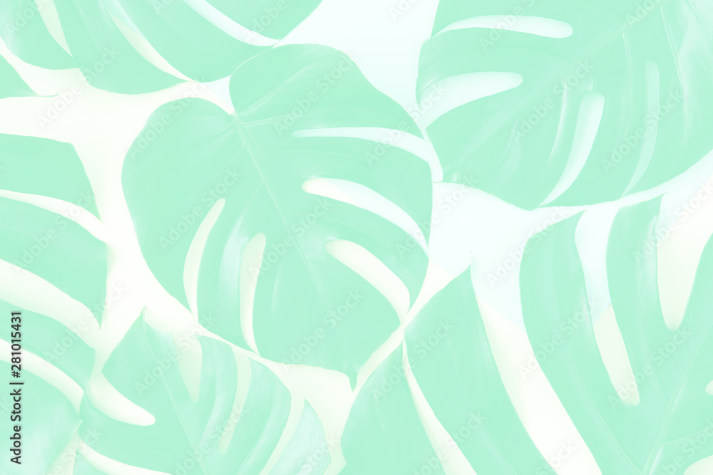 Fototapeta premium Tropical background. Tropical palm leaves on pastel yellow and blue background. Flat lay, top view