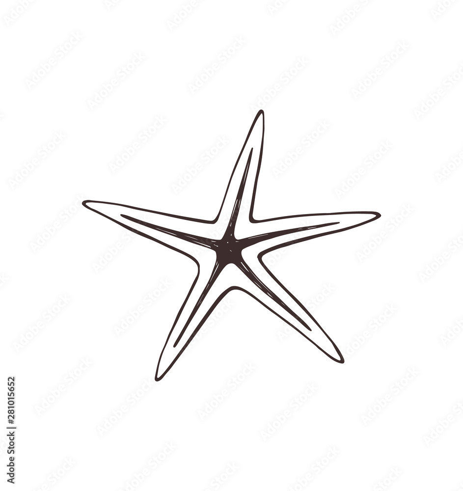 Starfish sketch collection vector illustration Starfish sketch collection vector illustration
