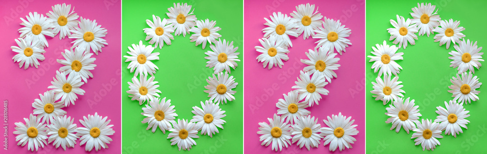 Obraz premium Inscription 2020 from fresh daisies on a colored background. 0, 2, arabic numeral. Happy New Year 2020. Large daisies create a number 2 and 0 on green and pink background.