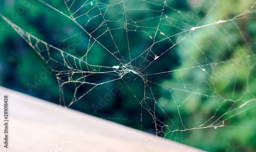 A close-up of a spider web in Jechun, South Korea.
