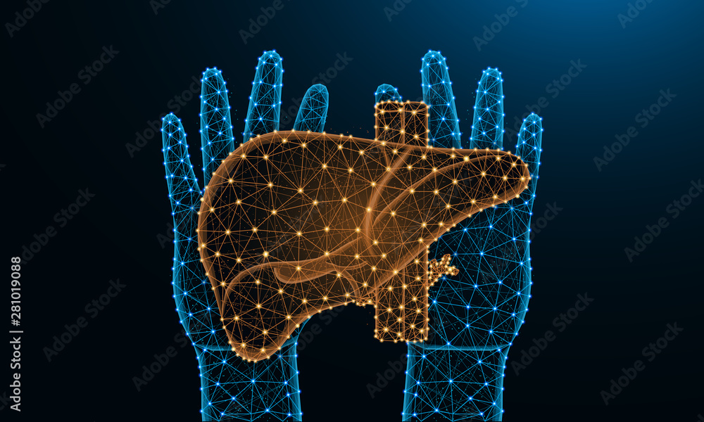 Hands and liver low poly design, human organ in polygonal style ...
