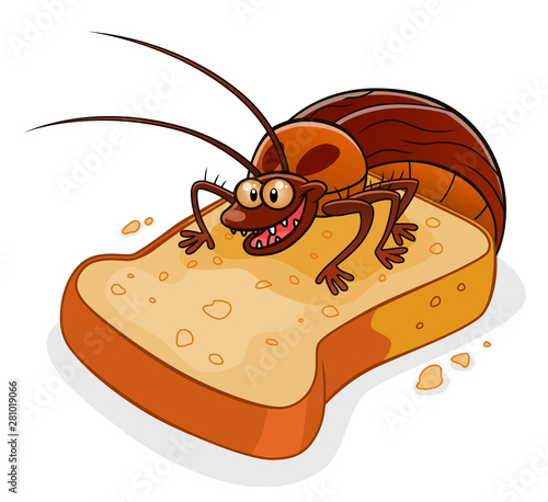 Cockroach on the bread