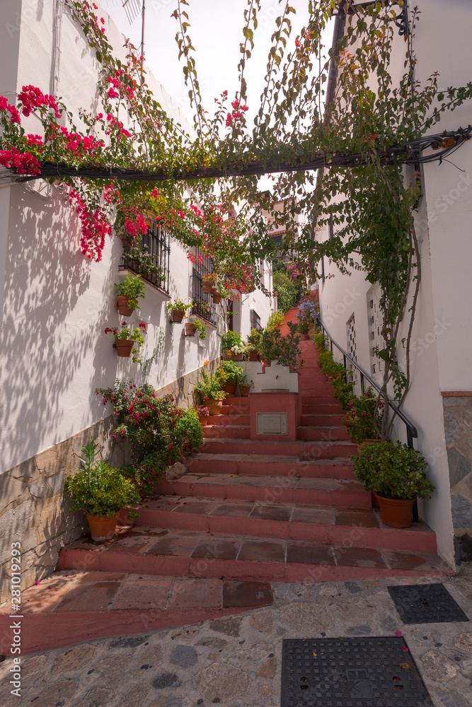 Obraz premium Benamahona one of the famous white towns from Cadiz region at Andalucia, Spain.