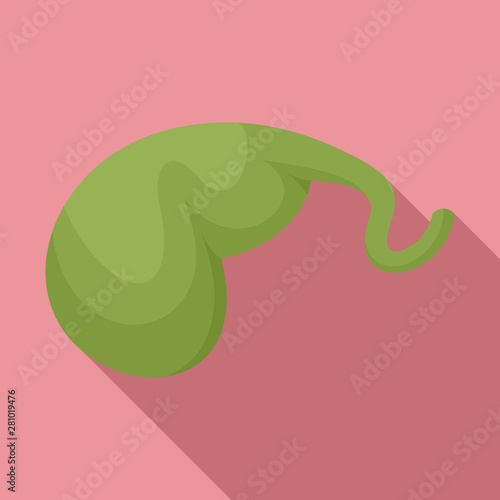 Gallbladder icon. Flat illustration of gallbladder vector icon for web design