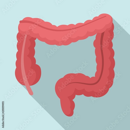 Human intestine icon. Flat illustration of human intestine vector icon for web design