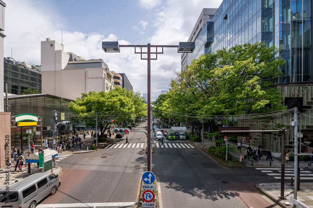 Φωτογραφία Beautiful view of the famous Omotesando shopping street in a central district of
