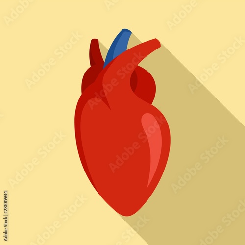 Human heart icon. Flat illustration of human heart vector icon for web design