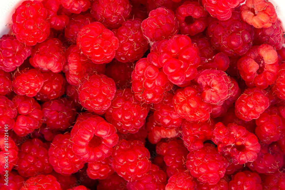 Ripe red berries of wild raspberry close-up. Close up of wild raspberries. Ripe red berries of wild raspberry close-up. Close up of wild raspberries.