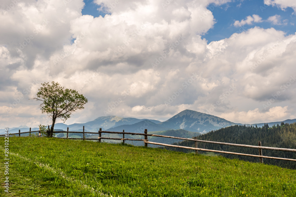 The path up the hill.