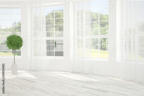 Stylish empty room in white color with summer landscape in window. Scandinavian interior design. 3D illustration © AntonSh