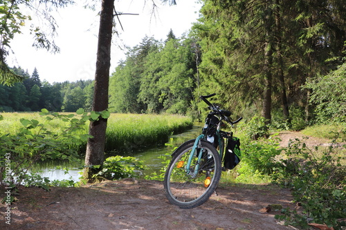 Fototapeta Naklejka Na Ścianę i Meble -  Dolina Rospudy, szlak rowerowy