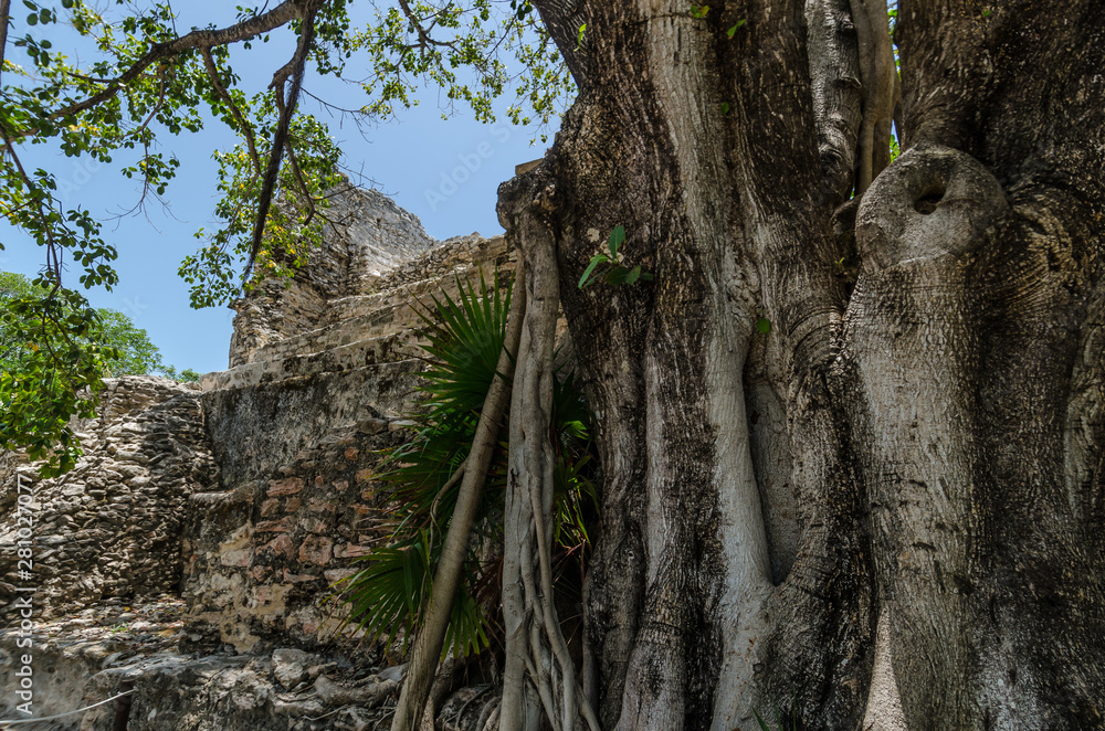 Archaeological Site of El Meco, Cancún, México