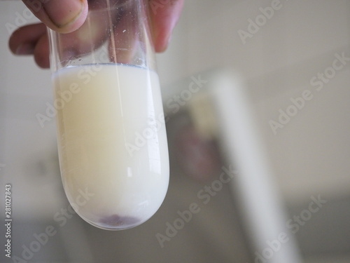 Preparing equine semen  photo