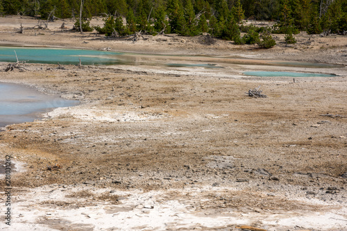 norris geyser back basin in in Yellowstone National Park in Wyoming