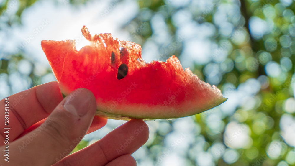 a slice watermelon in the hand a slice watermelon in the hand