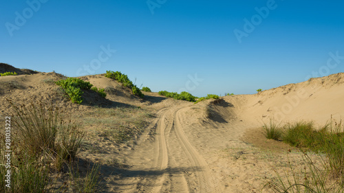 Vehicle wheel track in sand dunes