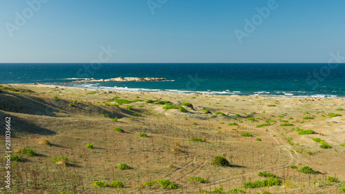 Sand plants and panoramic seascape