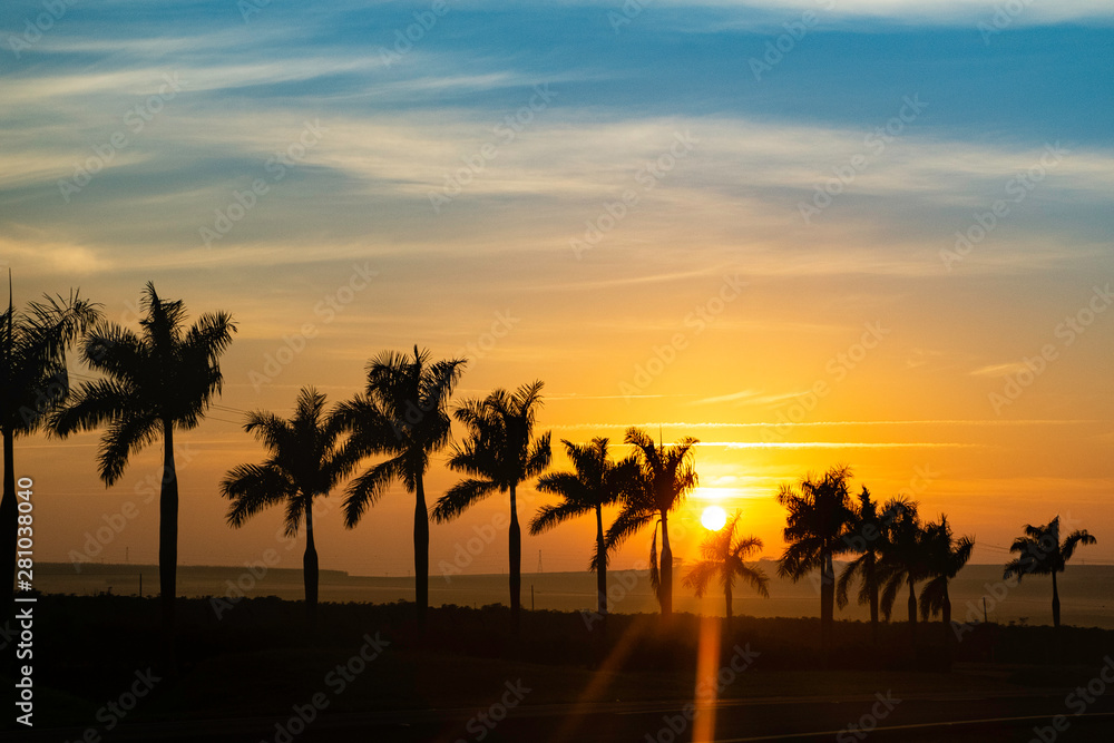 Obraz premium Sunrise with coconut palm silhouette near the road.