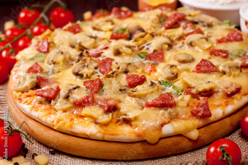 Freshly baked pizza with mushrooms, salami and cheese