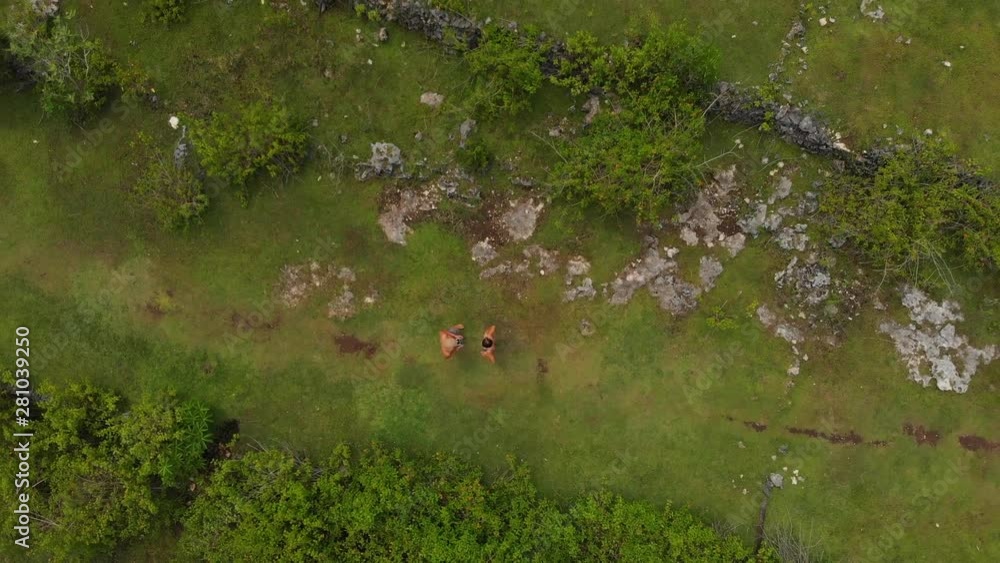 young couple practicing drone piloting. Licensed teacher explaining drone flying to a young woman young couple practicing drone piloting. Licensed teacher explaining drone flying to a young woman
