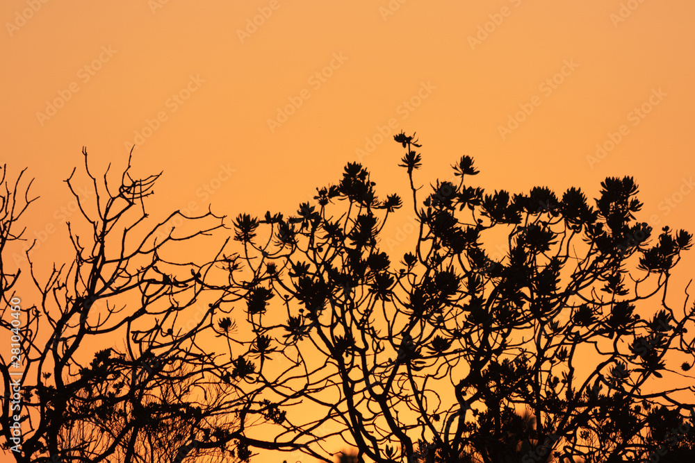 Fototapeta premium Scenes from South Africa