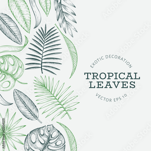 Tropical plants banner design. Hand drawn tropical summer exotic leaves illustration. Jungle leaves, palm leaves engraved style. Vintage background design