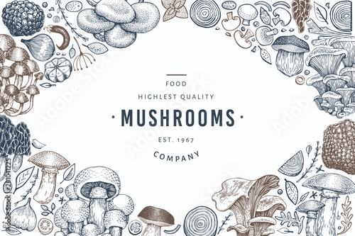 Mushroom design template. Hand drawn vector food illustration. Engraved style. Vintage mushrooms different kinds background.