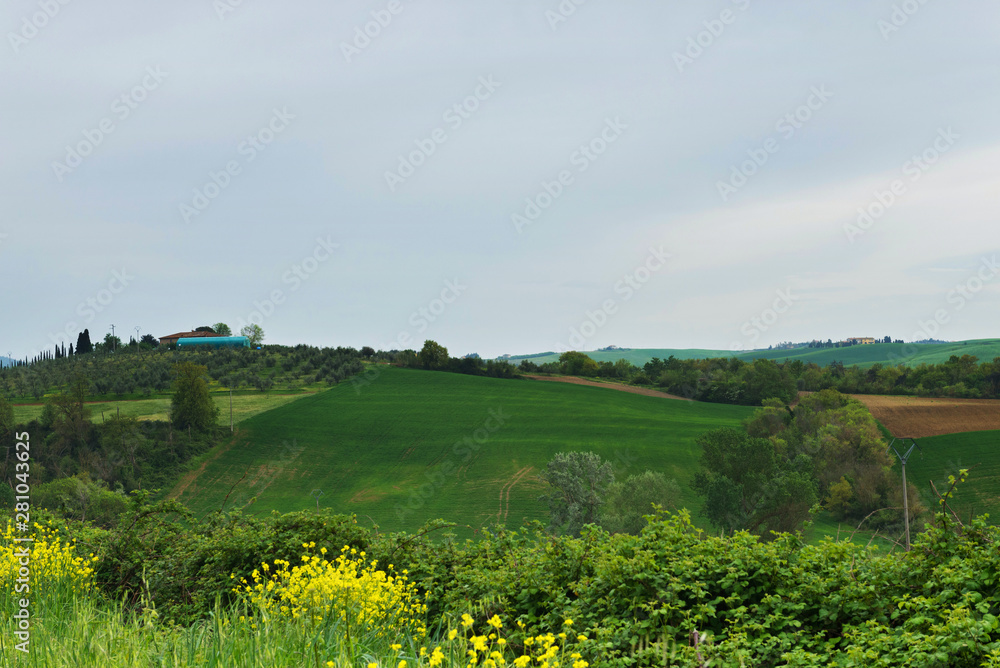 Beautiful spring evening froggy landscape in Tuscany countryside, Italy