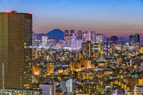 Tokyo Skyline and Fuji Mountain photo