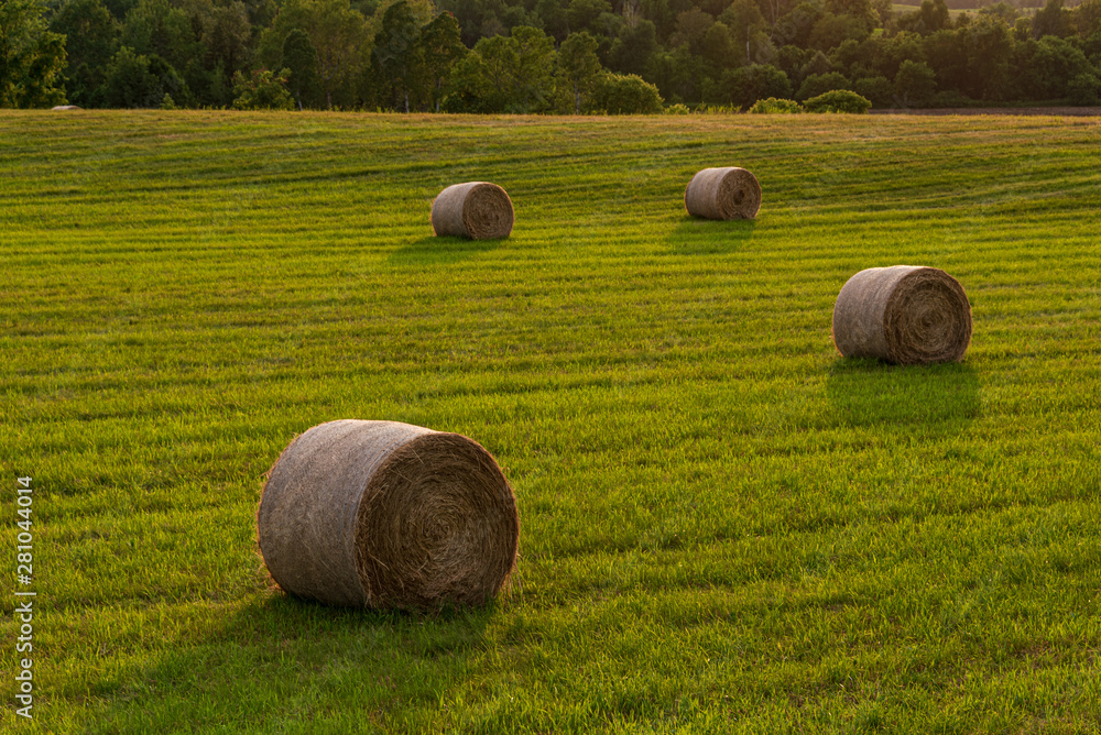 round hay bales in fields