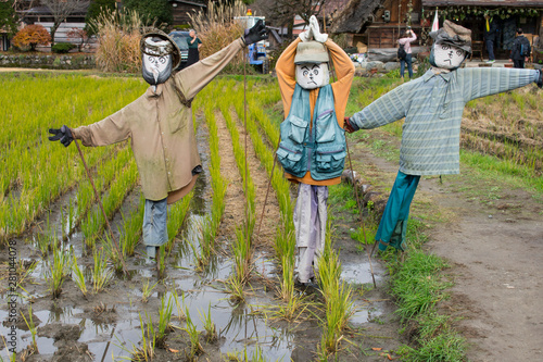 Espantapájaros vigilando campo de arroz. Shirakawa-go