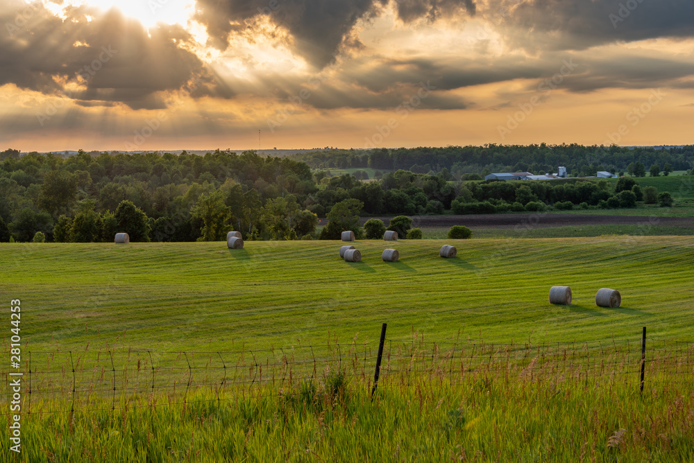Fototapeta premium round hay bales in fields