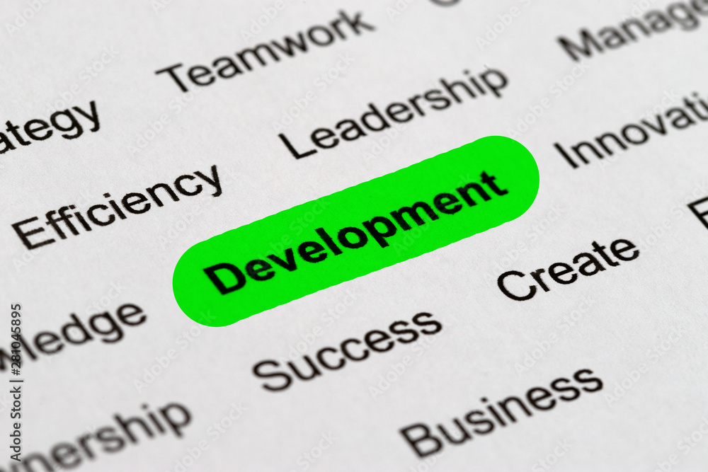 Fototapeta premium Development - Project Management Buzzwords, Printed on White Paper and Highlighted