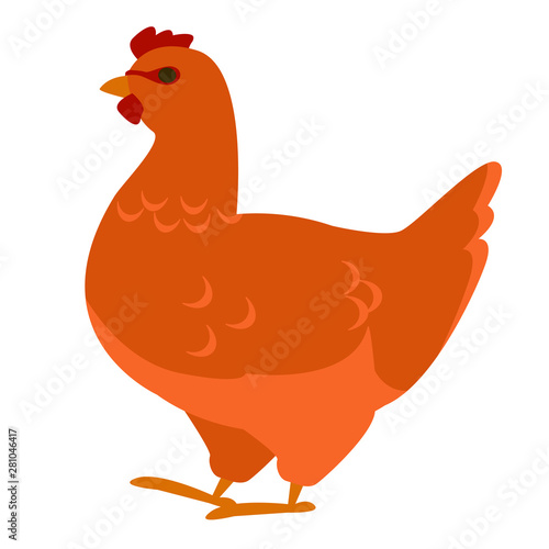 galinha