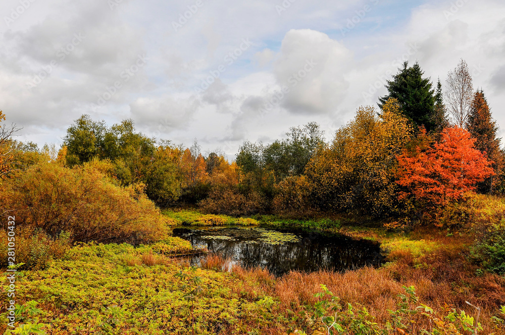 autumn, landscape, fall, forest, nature, trees autumn, landscape, fall, forest, nature, trees