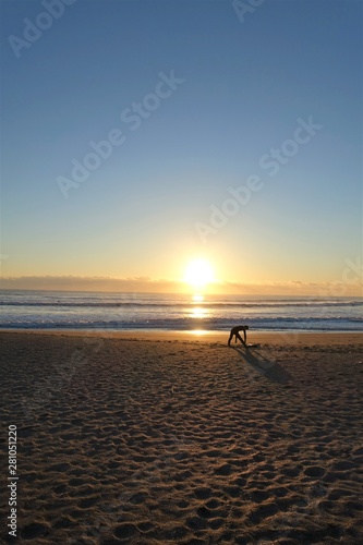 浜辺のサーファー