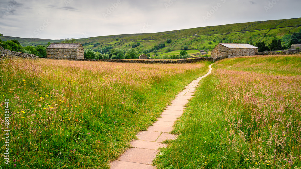 Footpath through Muker Hay Meadows, in Swaledale one of the most northerly dales in the Yorkshire Dales National Park, famous for its wildflower meadows and field barns Footpath through Muker Hay Meadows, in Swaledale one of the most northerly dales in the Yorkshire Dales National Park, famous for its wildflower meadows and field barns