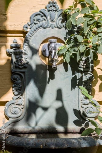 The fountain in the garden