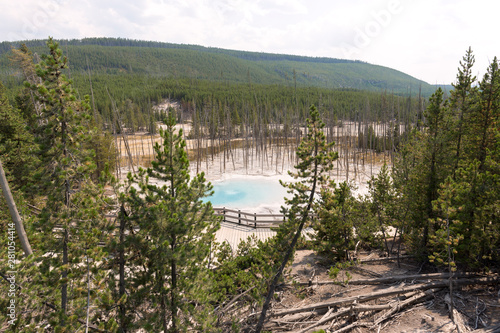 norris geyser back basin in in Yellowstone National Park in Wyoming