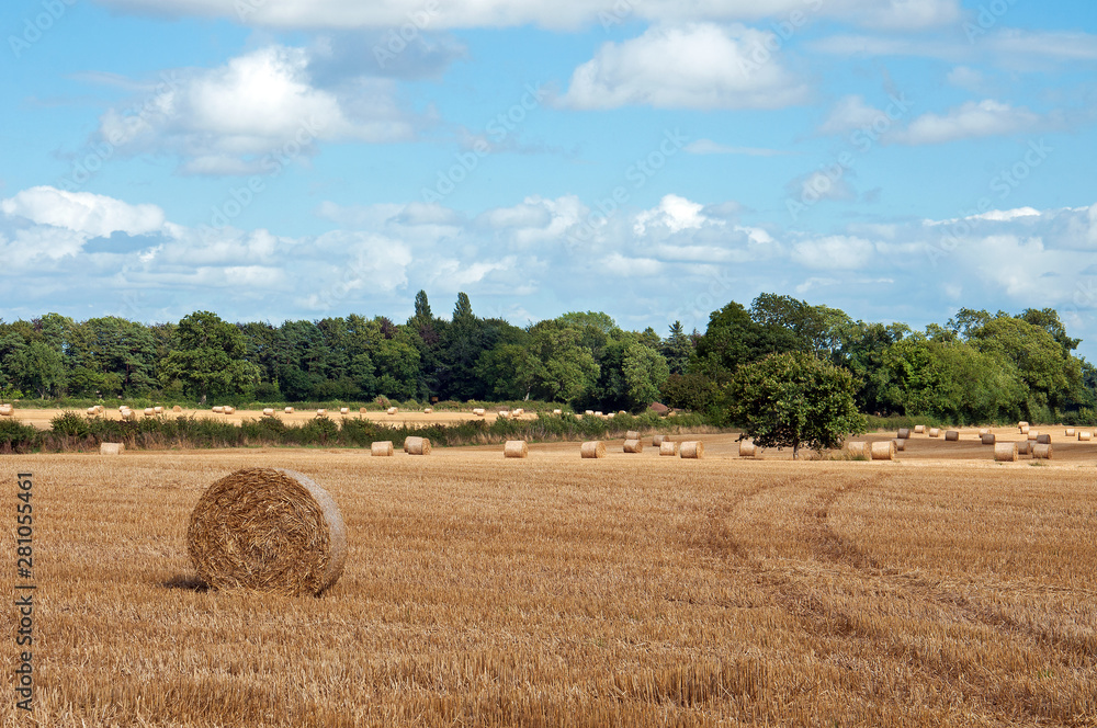 Fototapeta premium Straw bales in the summertime.
