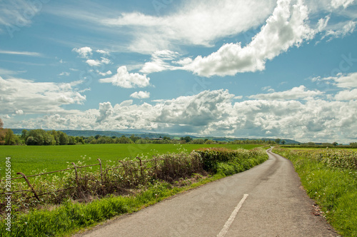 Country road in the summertime.