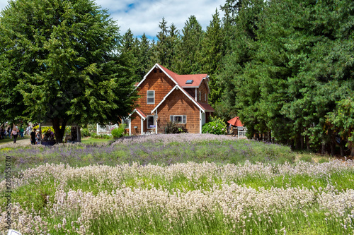 old wooden house in the forest © sangwon