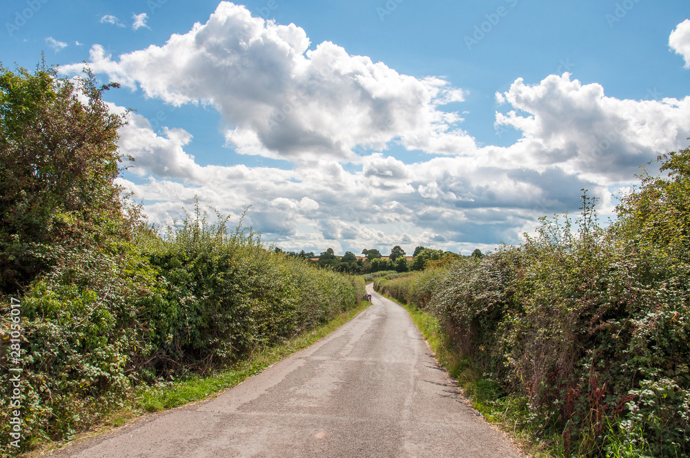 Summertime country lane in the English countryside.