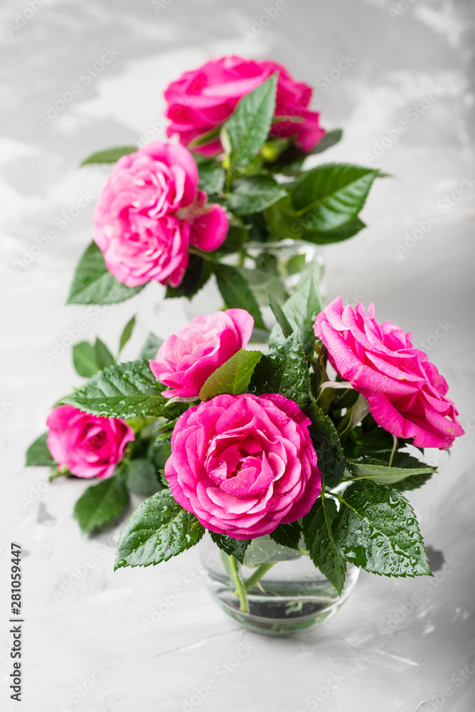 Amazing wild pink roses Amazing wild pink roses