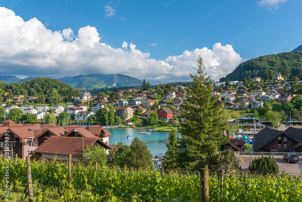 Townscape of Spiez with Lake Thun