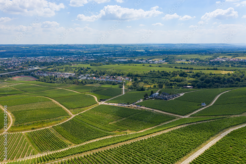 Blick in die Weinberge von Eltville/Deutschland im Rheingau von oben Blick in die Weinberge von Eltville/Deutschland im Rheingau von oben