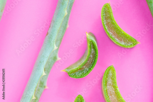 Medicinal plant aloe vera on a pink background