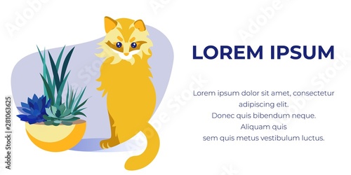 Advertising Banner with Kitten and Flower in Pot