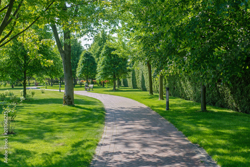 Scenic view of the park in the center of the big city in the spring. In the atmosphere of natural light