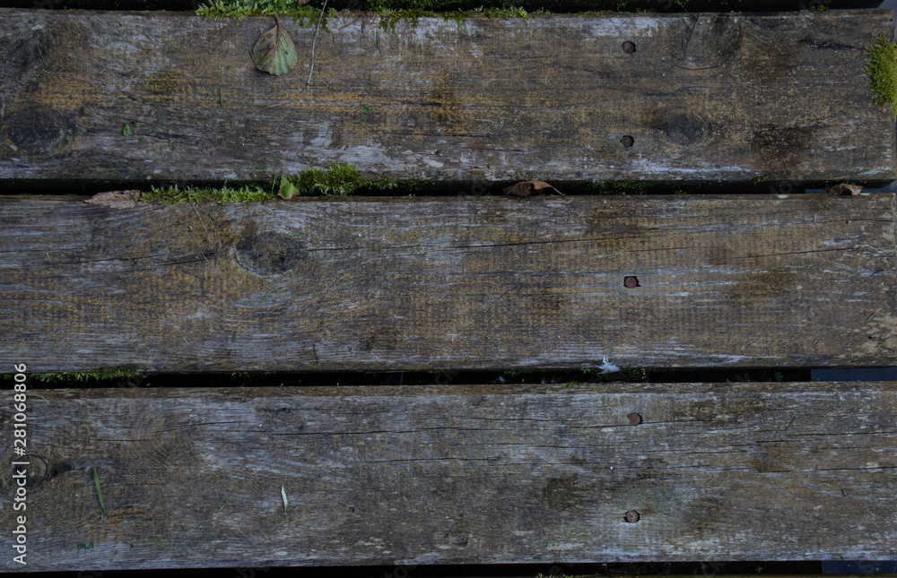 Fototapeta premium texture of old board with moss and leaf